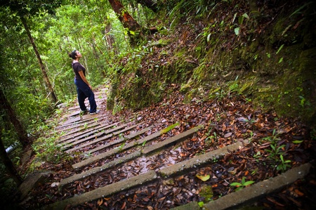 An active young woman hiking in thick jungleの写真素材