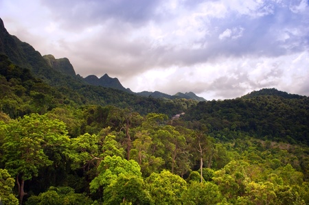 Spectacular jungle landscape with mountain rangeの写真素材