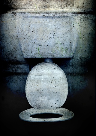A western style toilet in grunge, dirty style