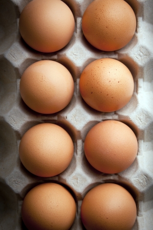 Fresh eggs in rows with moody lightingの写真素材