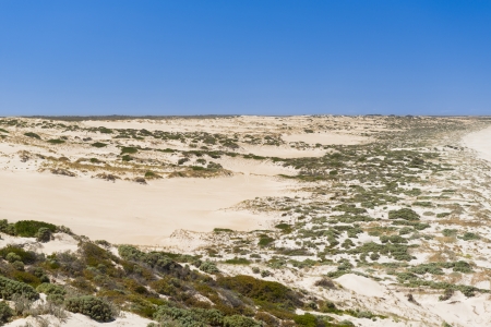 Sand dunes stretch into the distance along the coastの写真素材