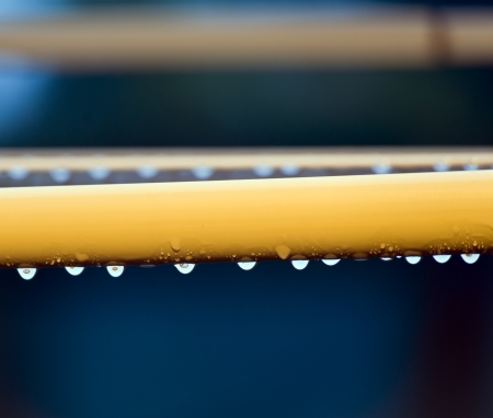 Rain drops cling to the underside of a clothes line