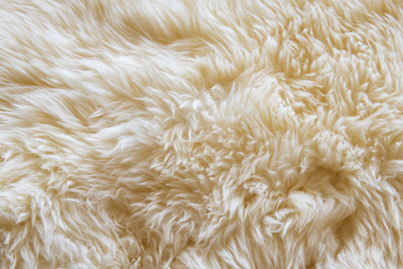 Luxurious wool texture from a white sheepskin rugの写真素材