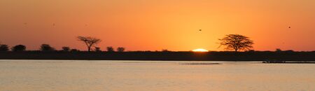 Classic African sunset with huge burning sun over Acacia trees and water in Botswana, Africaの写真素材