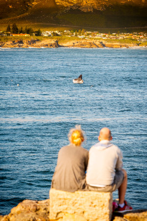 HERMANUS, SOUTH AFRICA - 4 OCTOBER 2015: An unidentified couple whale watching in Hermanus, South Africa. Hermanus is famous for Southern Right Whale watching.のeditorial素材