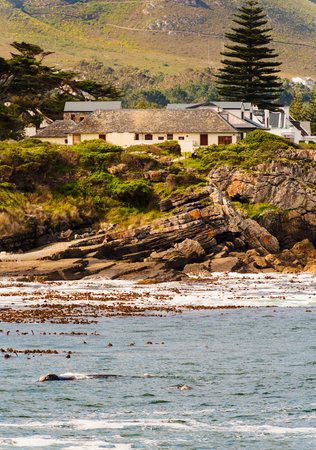 HERMANUS, SOUTH AFRICA - 4 OCTOBER 2015: Unidentified people in Hermanus for Whale Festival. Hermanus is famous for Southern Right Whale watching.のeditorial素材