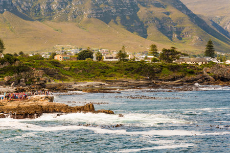 HERMANUS, SOUTH AFRICA - 4 OCTOBER 2015: Crowds gather for Hermanus Whale Festival. Hermanus celebrates 25 years of whale watching festivals in 2016.のeditorial素材