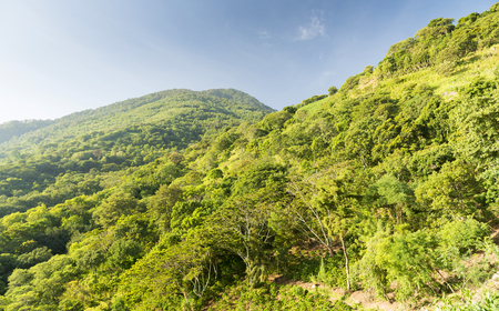 Hiking San Pedro Volcano on Lake Atitlan, Guatemalaの写真素材