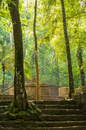 PALENQUE, MEXICO - NOVEMBER 29: Mayan ruins taken over by lush jungle on November 29, 2016 in Palenque. Palenque was declared a world heritage site by UNESCO in 1987.のeditorial素材
