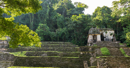 PALENQUE, MEXICO - NOVEMBER 29: Ancient ruins of the Temple of the Skull surrounded by lush jungle on November 29, 2016 in Palenque. Palenque was declared a world heritage site by UNESCO in 1987.のeditorial素材