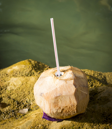 Coconut water drink beside natural pool of waterの写真素材