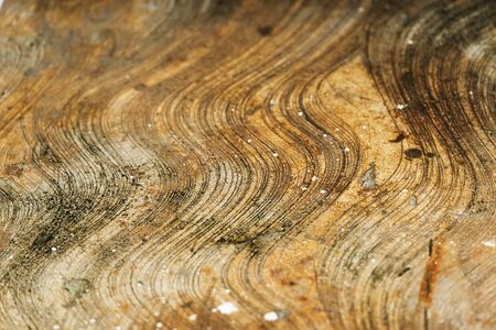 Concrete floor with curved patterns and stainsの写真素材