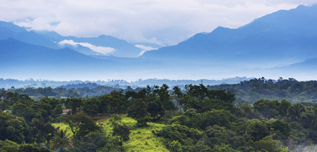 Jungle landscape scenic with mountains on the horizon in Chiapas, Mexicoの写真素材