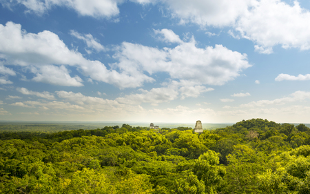 Tikal in Guatemala, an ancient Mayan city in ruins surrounded by jungleの写真素材