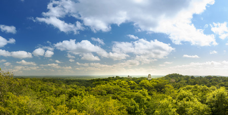 Panorama of the Mayan city of Tikal, Guatemalaの写真素材