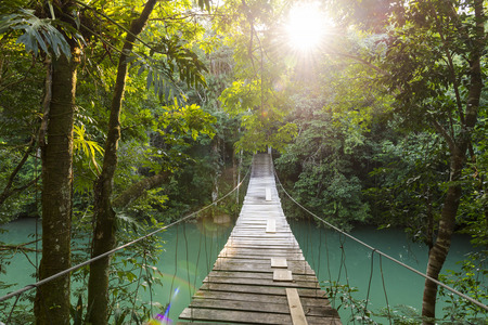 Discovery footbridge over river in tranquil forestの写真素材