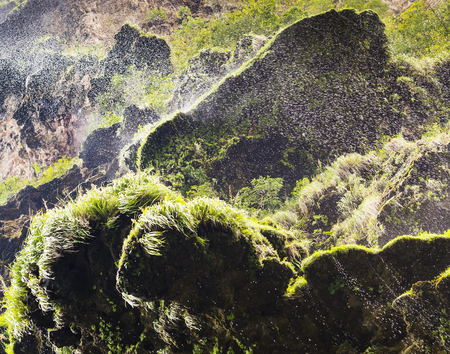 Mist over green moss from a cliff waterfall in The Sumidero Canyon, Chiapas Mexicoの写真素材