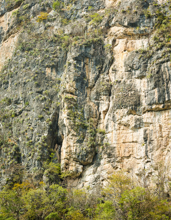 Limestone cliff wall in Sumidero Canyon Chiapas, Mexicoの写真素材
