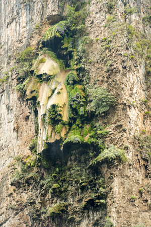 Arbol de Navidad or the Christmas Tree Waterfall in the Sumidero Canyon, Chiapas Mexicoの写真素材