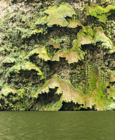 Arbol de Navidad or the Christmas Tree Waterfall in the Sumidero Canyon, Chiapas Mexicoの写真素材