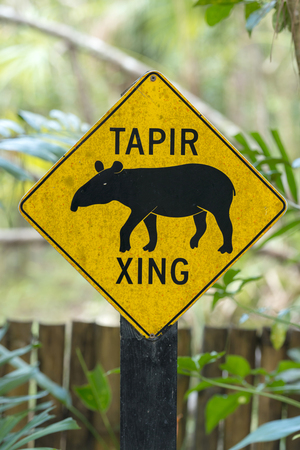 Road sign for a tapir crossing in Central Americaの写真素材