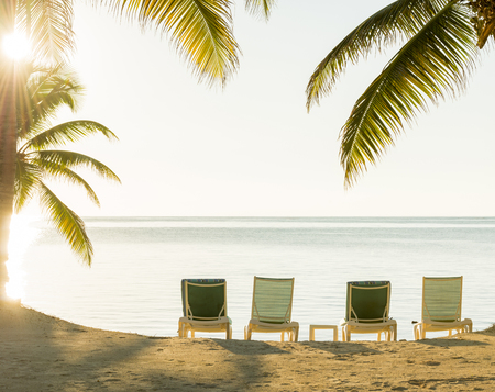 Sunset through palmtrees over a tropical beach with deckchairs in the sandの写真素材