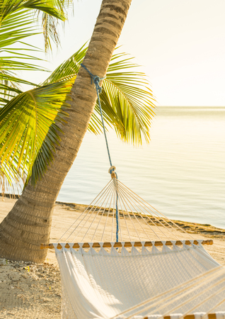 Tranquil vacation hammock on tropical palm beachの写真素材