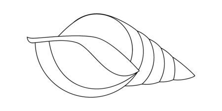 Line drawing vector of a seashellのイラスト素材