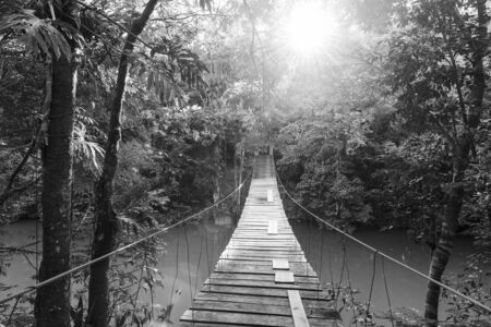 Wooden footbridge over river in tranquil forest in stunning black and whiteの写真素材