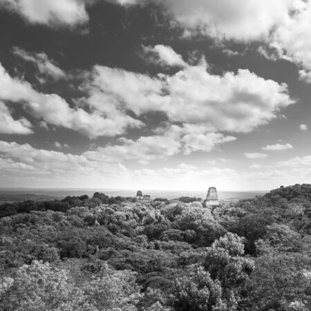 Tikal in Guatemala, an ancient Mayan city in ruins surrounded by jungle in stunning black and whiteの写真素材