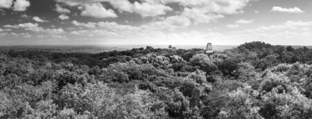 Panorama of the Mayan city of Tikal, Guatemala in stunning black and whiteの写真素材