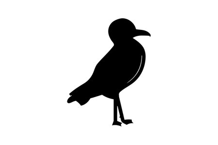 Seagull bird icon in silhouette style vectorのイラスト素材