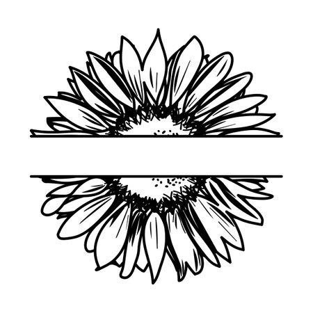 Detailed sketch style sunflower monogram split in two with copy space vectorのイラスト素材