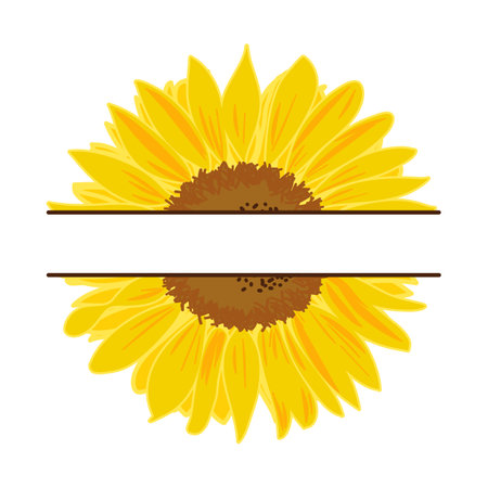 Detailed sketch style sunflower monogram split in two with copy space vectorのイラスト素材