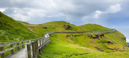 The boardwalk along The Nobbies on Phillip Island, Victoria, Australia which was formerly known as Seal Rocks.の写真素材