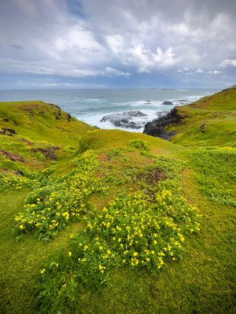 Dramatic views of The Nobbies on Phillip Island, Victoria, Australia from the boardwalk formerly known as Seal Rocks.の写真素材