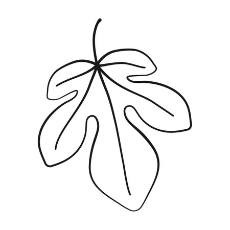 Fig leaf in outline vector iconのイラスト素材