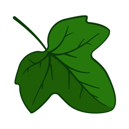 Green ivy leaf in vector iconのイラスト素材