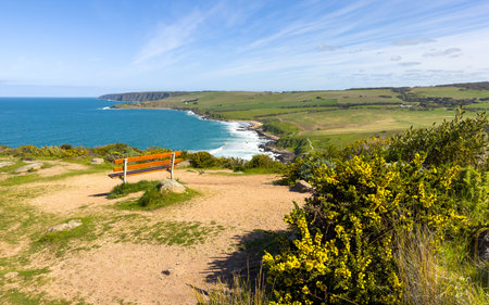 Park bench near the top of The Bluff or Rosetta Head in Victor Harbor on the Fleurieu Peninsula, South Australia looking toward Waitpingaの写真素材