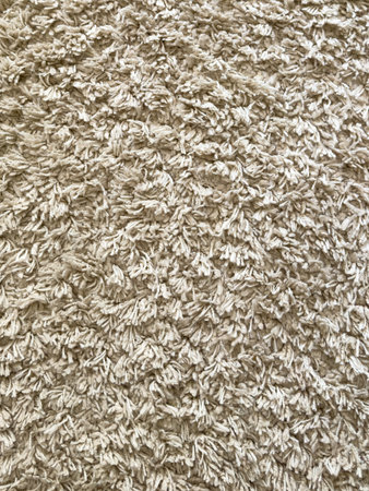 Beige coloured shag pile floor rug textureの写真素材