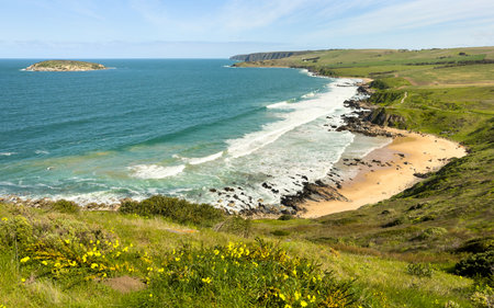 Looking over the Petrel Cove landscape from The Bluff or Rosetta Head in Victor Harbor on the Fleurieu Peninsula, South Australiaの写真素材