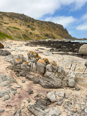 Petrel Cove on the Heysen Trail sits below The Bluff or Rosetta Head in Victor Harbor on the Fleurieu Peninsula, South Australiaの写真素材
