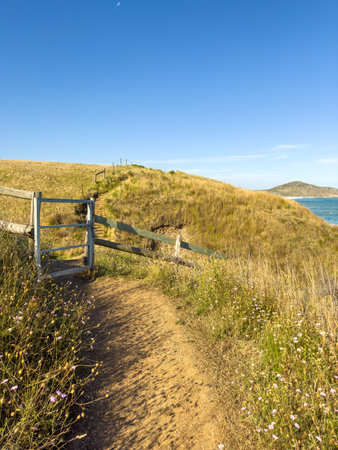 Pathway through wildflowers near Kings Beach on the Heysen Trail on the Fleurieu Peninsula in South Australiaの写真素材