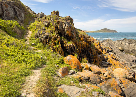Rugged coastal views along the Heysen Trail near Kings Beach on the Fleurieu Peninsula in South Australiaの写真素材