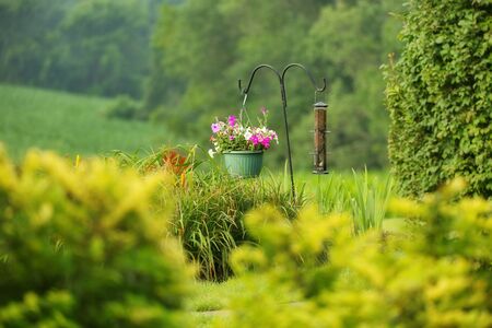 Flower Pot