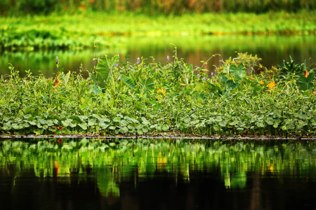 Reflecting Waterの写真素材