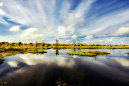 Swamplandsの写真素材