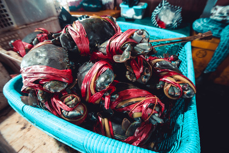 Crabs in the fish market. Indonesia, Bali.の写真素材