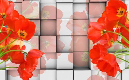 3d illustration, light background, cubes, red tulipsの写真素材