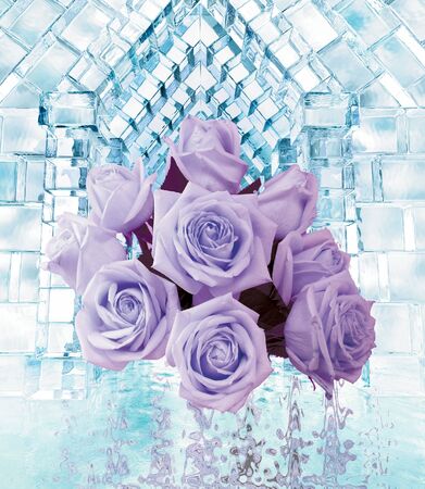 A bouquet of purple roses, blue ice cubes, reflected in waterの写真素材